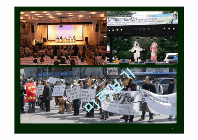 [사회복지학] Farm Animal Welfare Campaign of KAWA, Ms. Hee kyung Jo, KAWA   (7 )